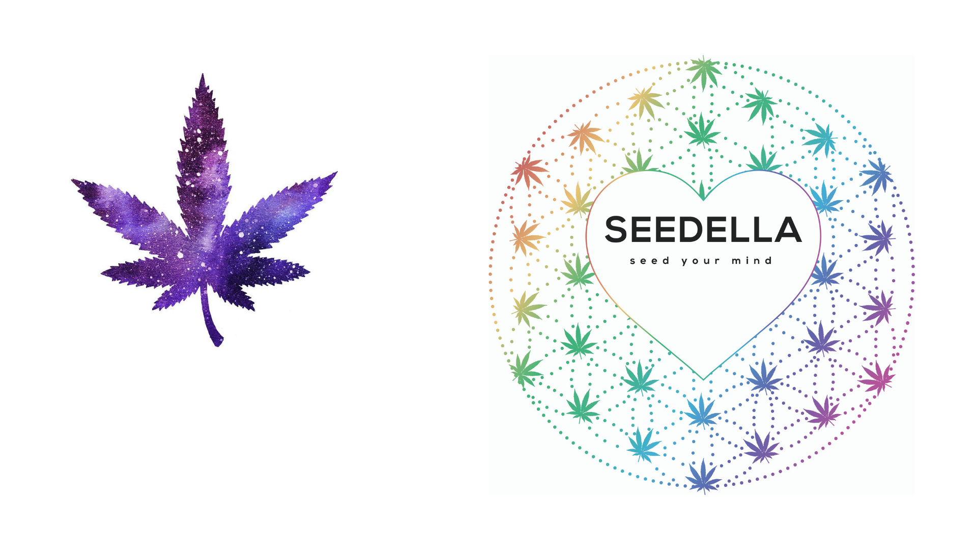 cannabis for wellness seedella