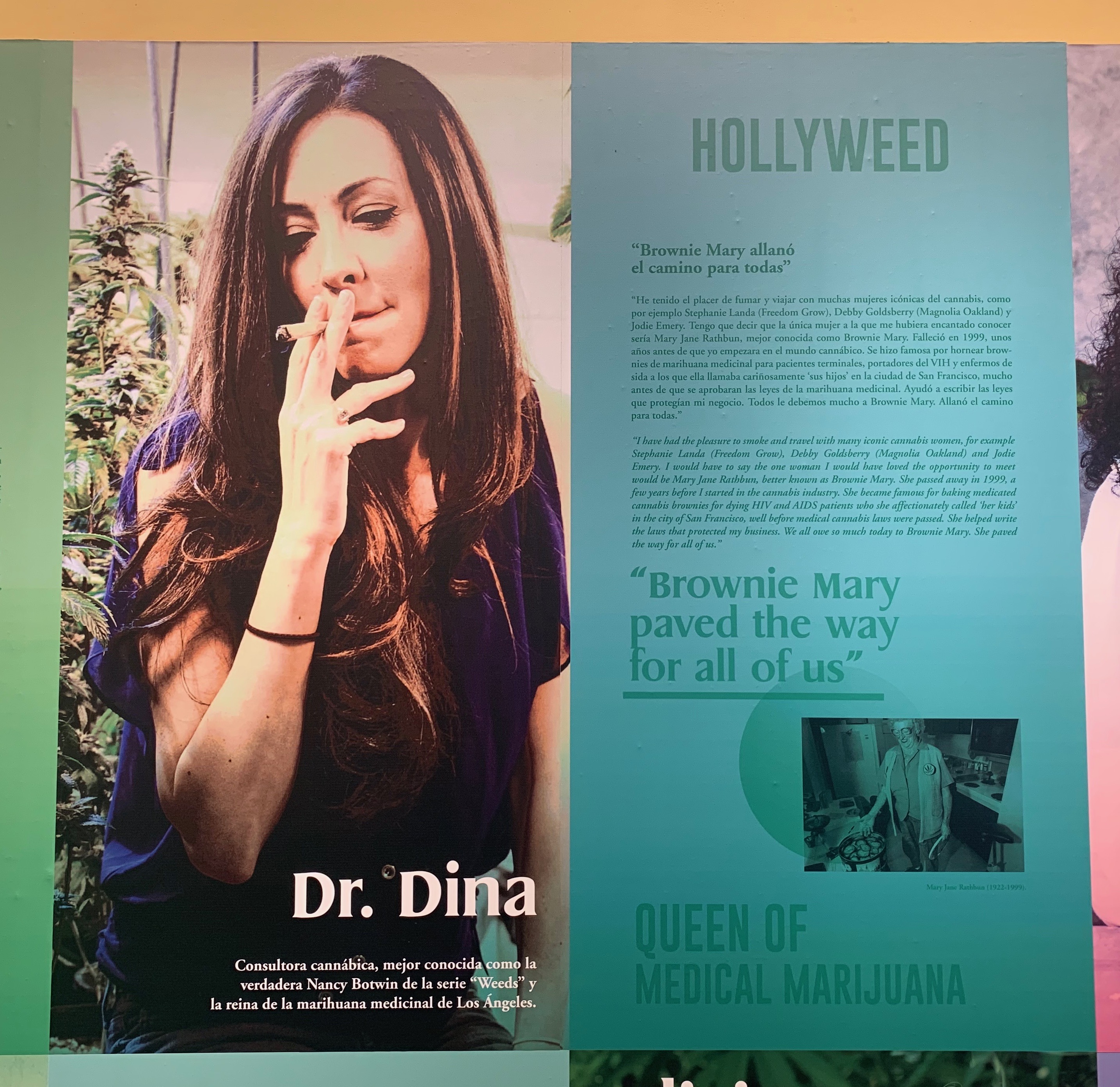 dr dina snoop dogg hollywood cannabis