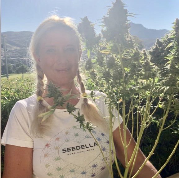 seedella cannabis cbd Marbella 