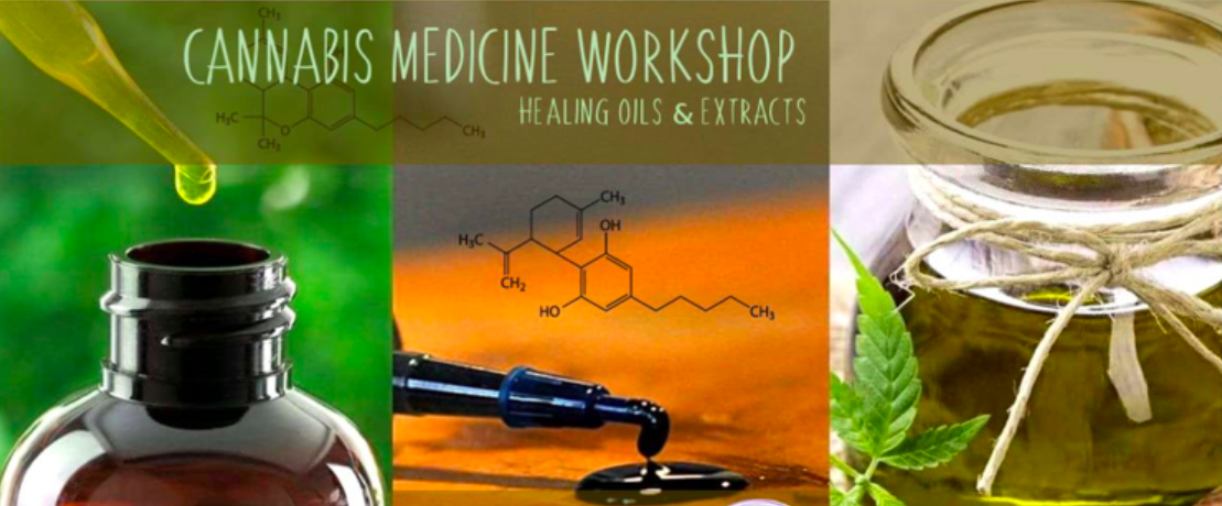 cannabis medicine workshop seedella