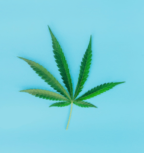 Cannabis Retreat Marbella, Spain- Journey to Your Future Self!