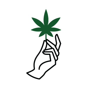 Icon representing GET CANNABIS COACHING