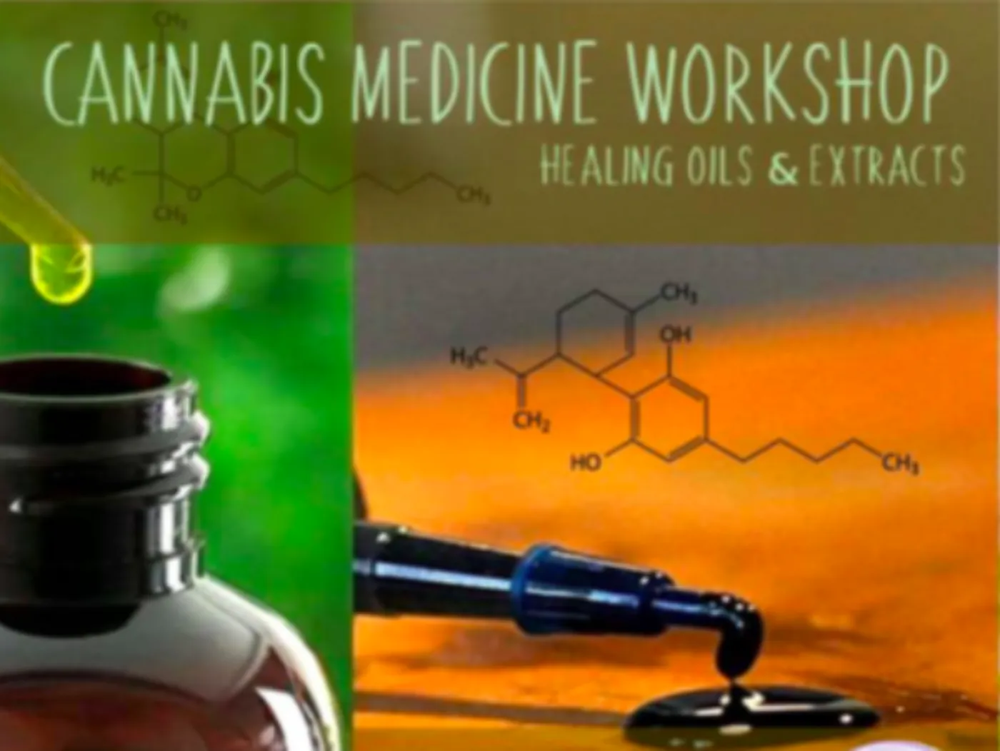 ertificate of completion for Cannabis Medicine Workshop attended by Seedella founder in Spain, January 2018