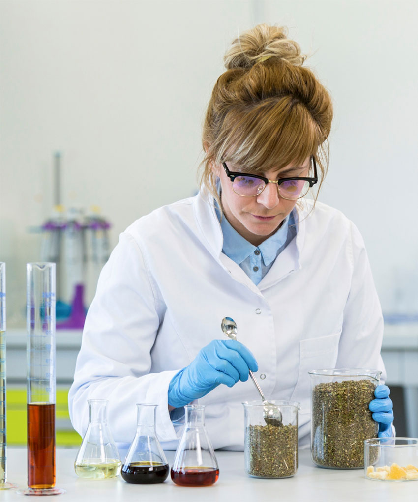 Doctor conducting cannabis research representing global journey