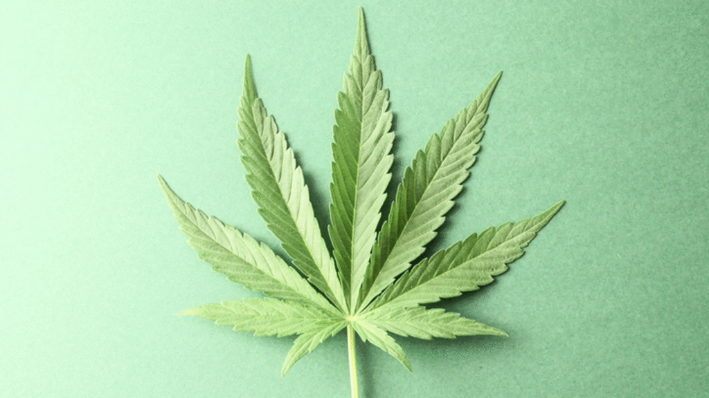 green-leaf THE STORY BEHIND THE NAME