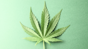 green-leaf THE STORY BEHIND THE NAME