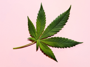 women_who_smoke_weed