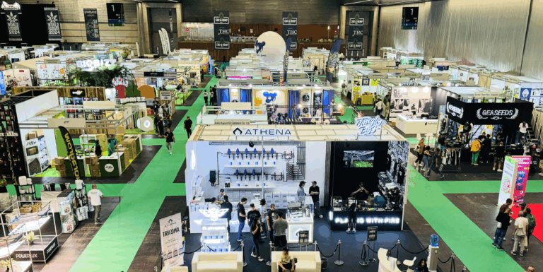 Spannabis Bilbao 2024